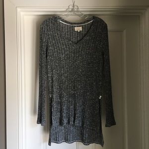 Deletta (Anthropologie) long shirt